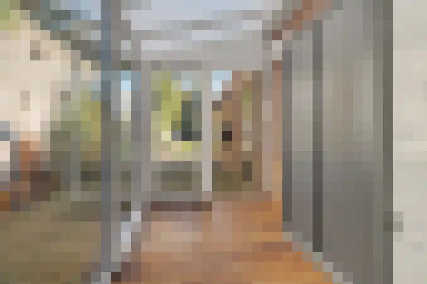 Nieuwstraat 104 Gilze thumbnail 39