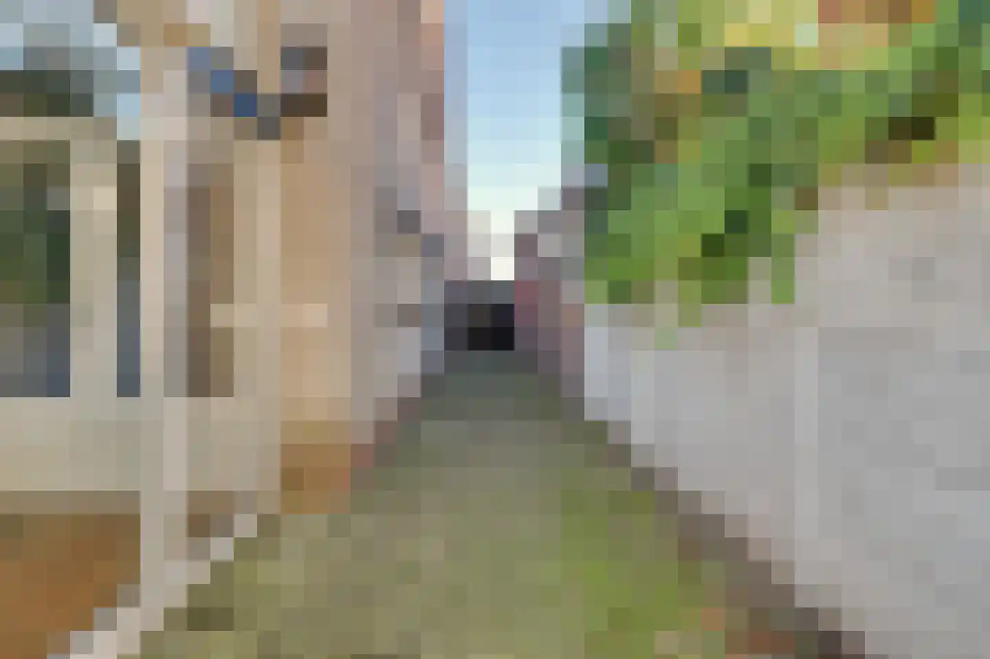 Nieuwstraat 104 Gilze thumbnail 72