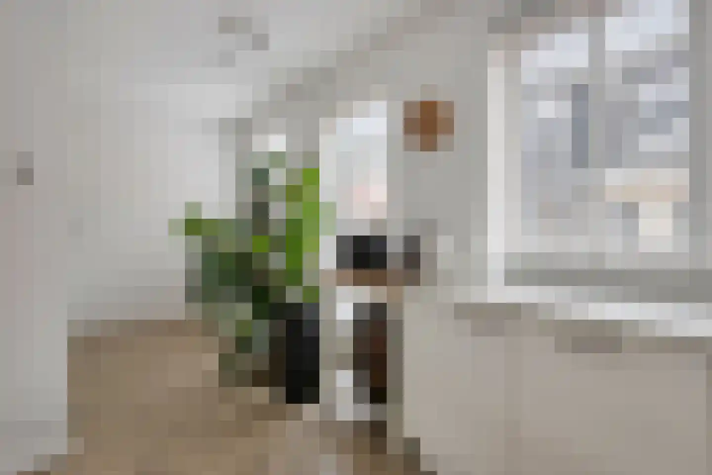 Nieuwstraat 105 Goes thumbnail 10