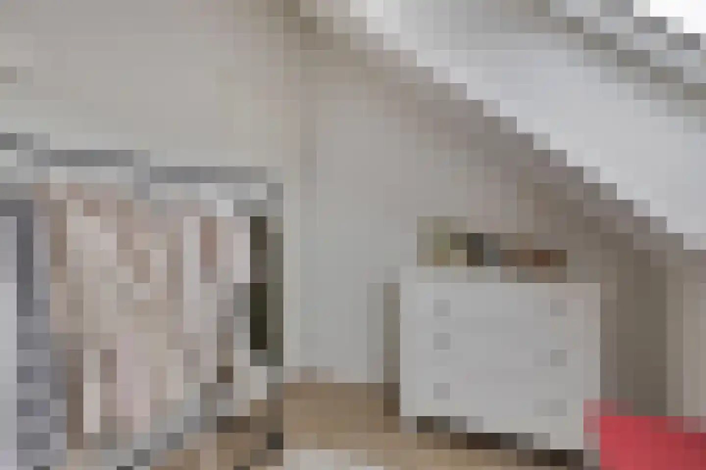 Nieuwstraat 105 Goes thumbnail 16
