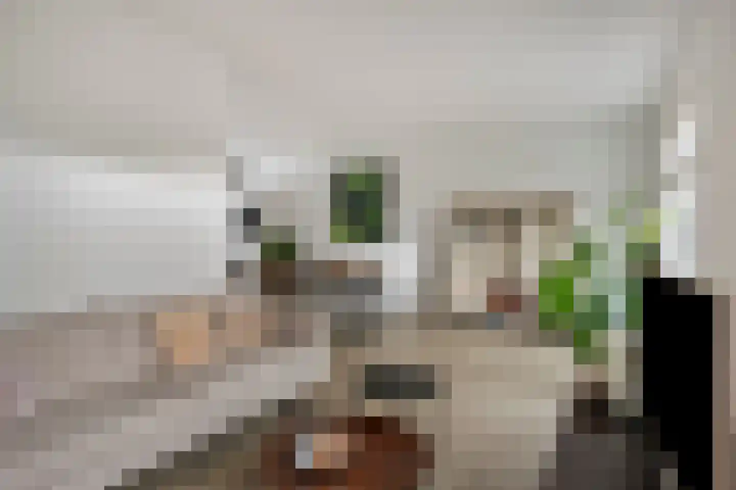 Nieuwstraat 105 Goes thumbnail 5