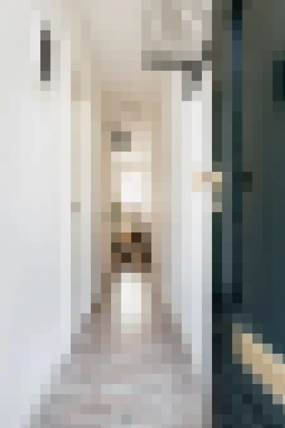 Nieuwstraat 107 Groningen thumbnail 6