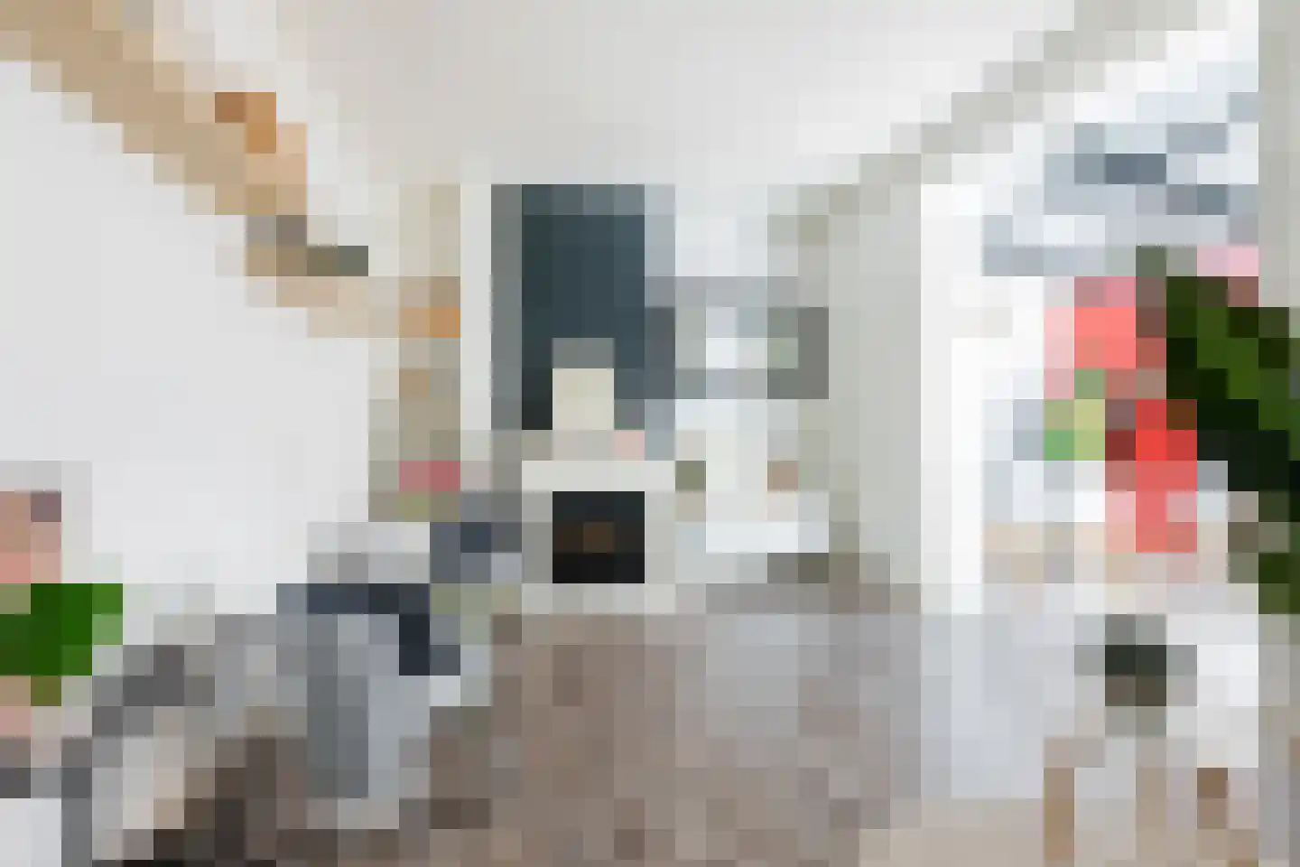 Nieuwstraat 107 Groningen thumbnail 7