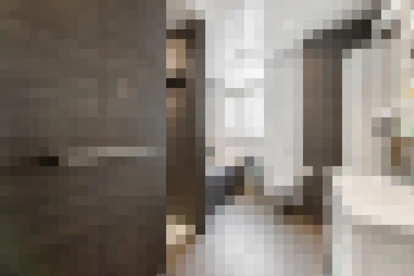 Nieuwstraat 108 Vlissingen thumbnail 21
