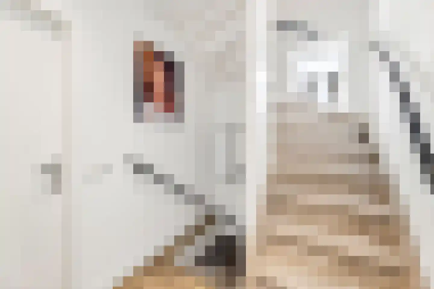Nieuwstraat 108 Vlissingen thumbnail 24