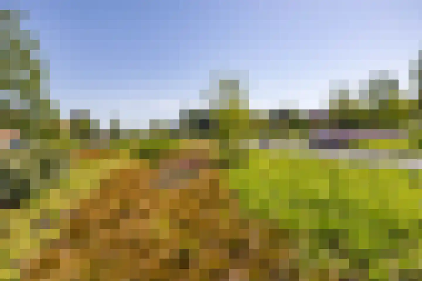 Nieuwstraat 109 Groningen thumbnail 32