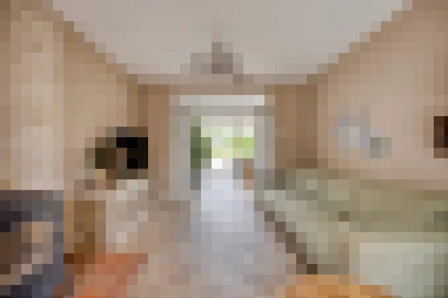 Nieuwstraat 11 a Schimmert thumbnail 10