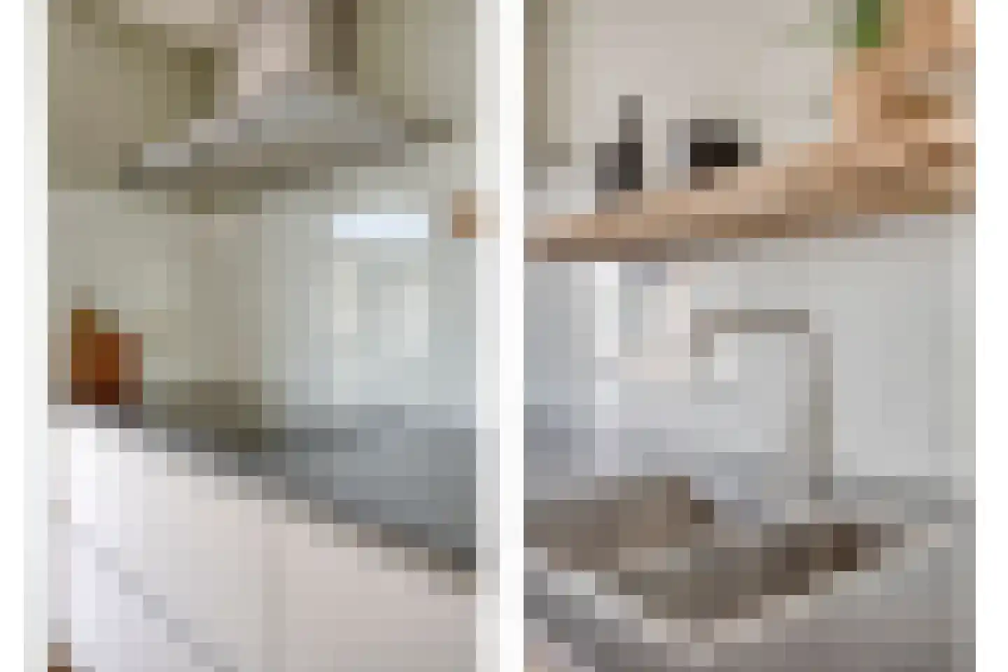 Nieuwstraat 11 a Schimmert thumbnail 18