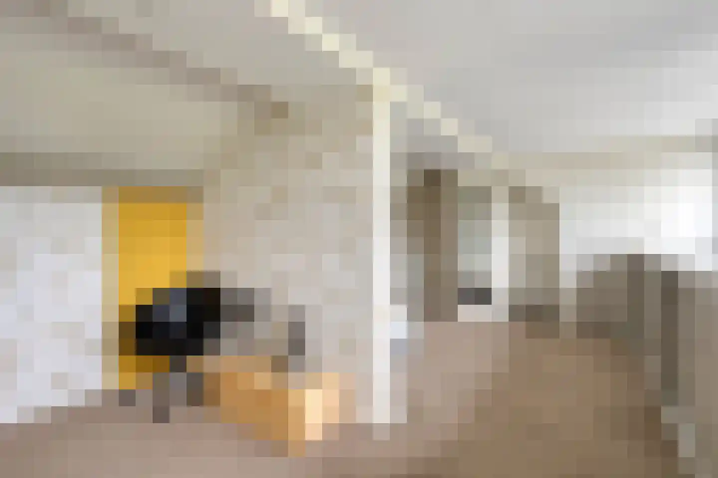 Nieuwstraat 11 a Schimmert thumbnail 32