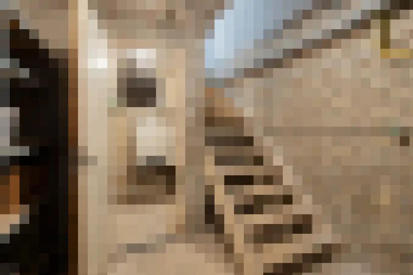 Nieuwstraat 11 a Schimmert thumbnail 41