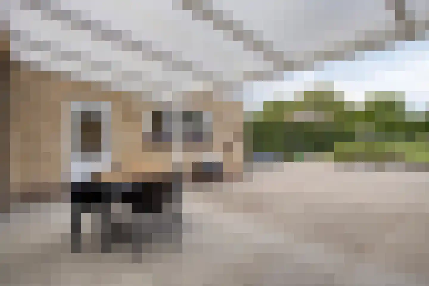 Nieuwstraat 11 a Schimmert thumbnail 42