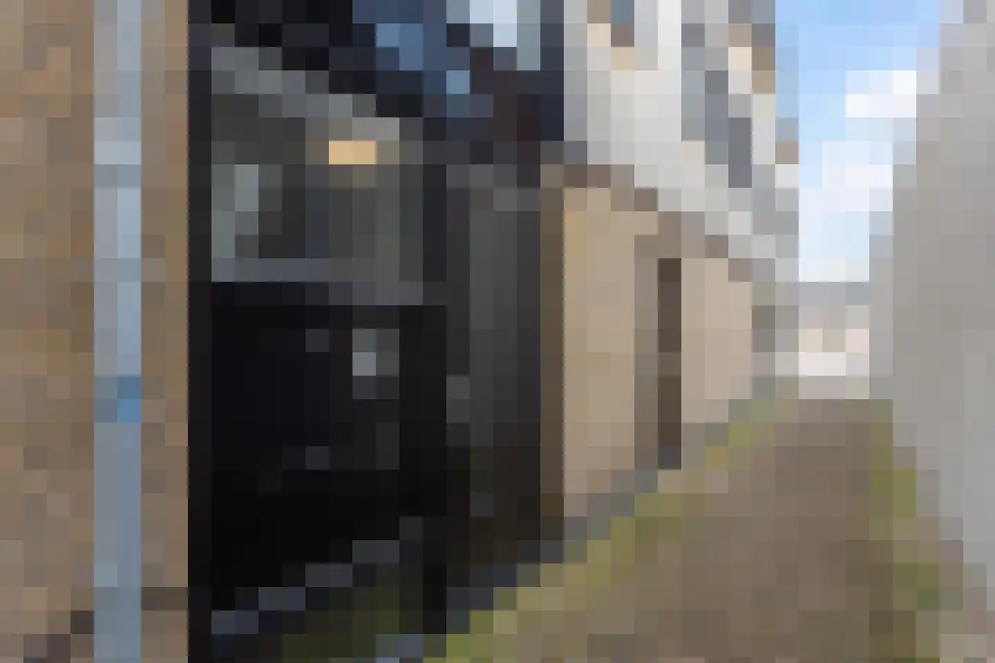 Nieuwstraat 11 B Maassluis thumbnail 30