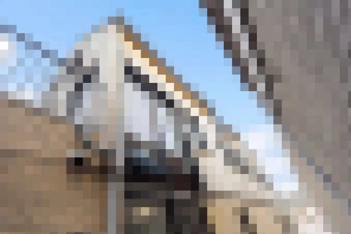 Nieuwstraat 11 B Maassluis thumbnail 31