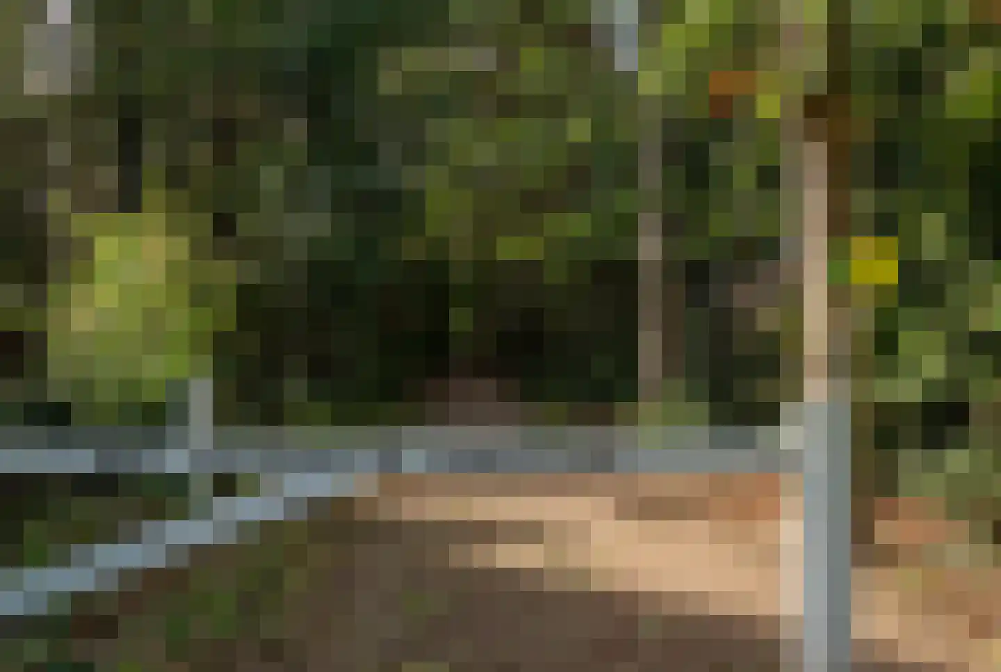 Nieuwstraat 11 Brakel thumbnail 12