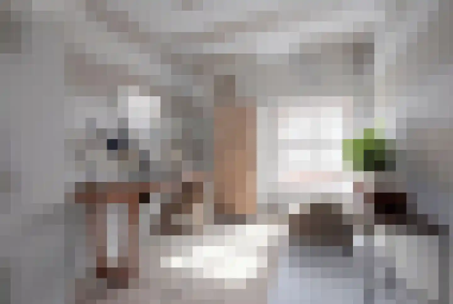 Nieuwstraat 11 Brakel thumbnail 4