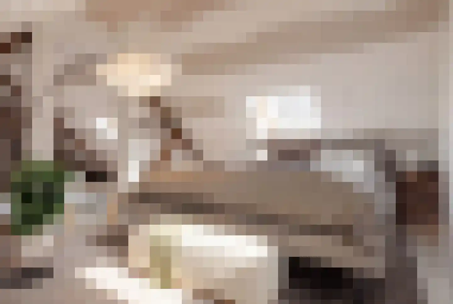 Nieuwstraat 11 Brakel thumbnail 5