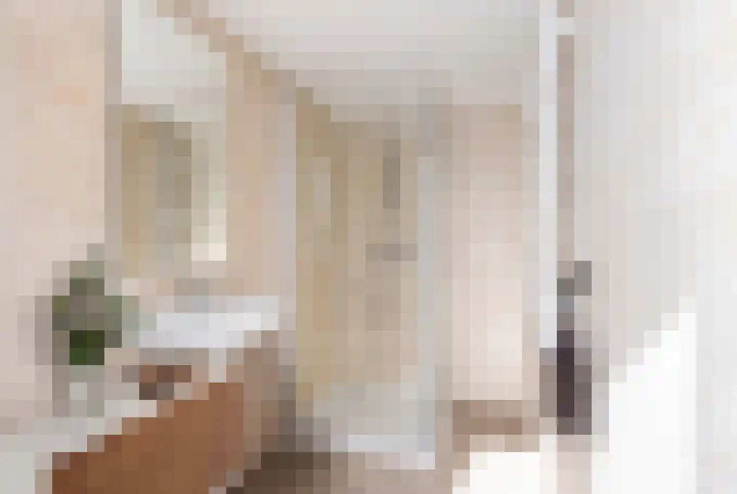 Nieuwstraat 11 Brakel thumbnail 6