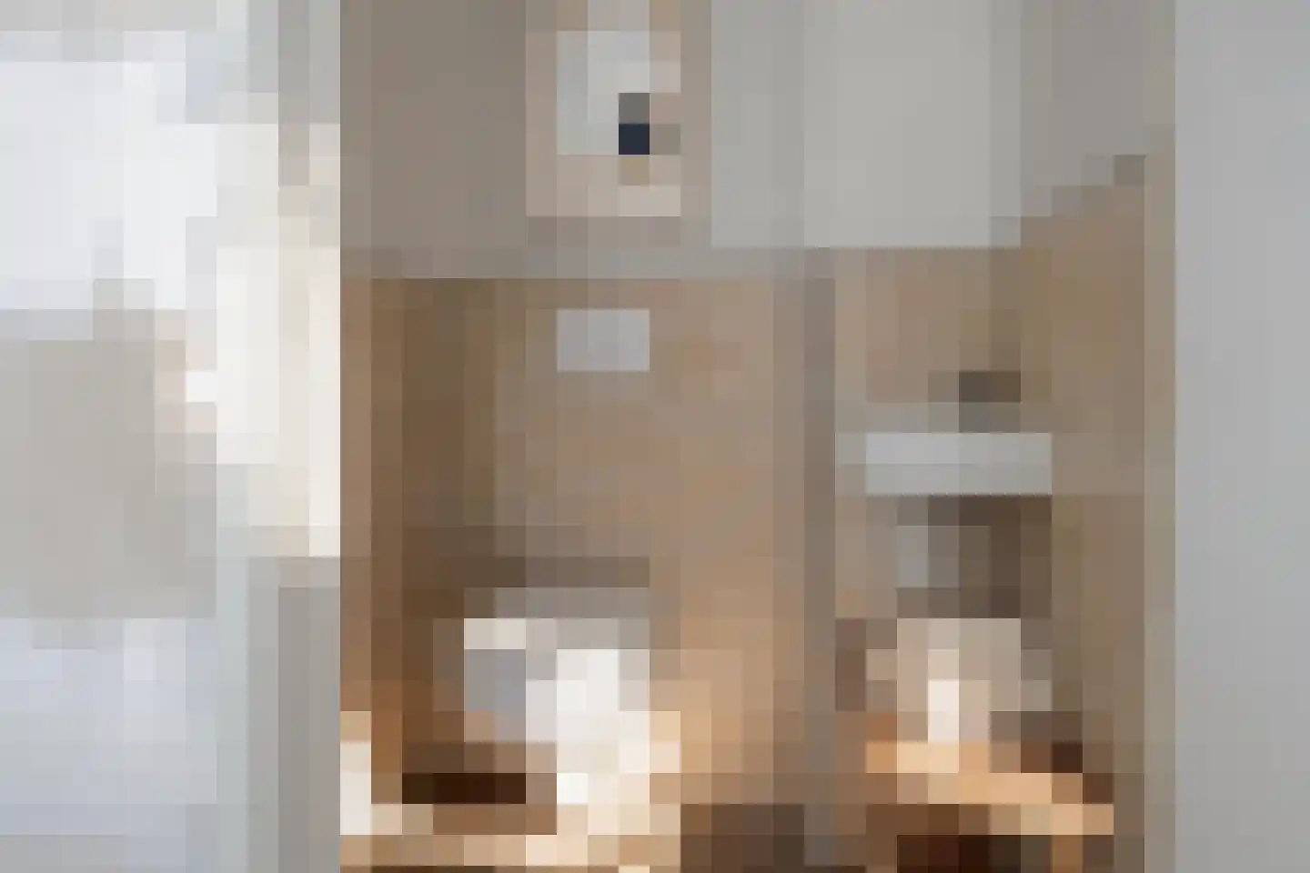 Nieuwstraat 11 Brakel thumbnail 7