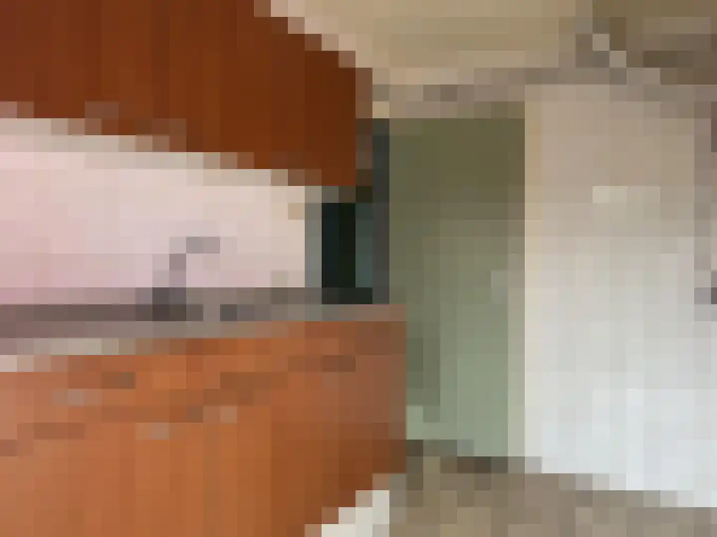 Nieuwstraat 11 Druten thumbnail 18