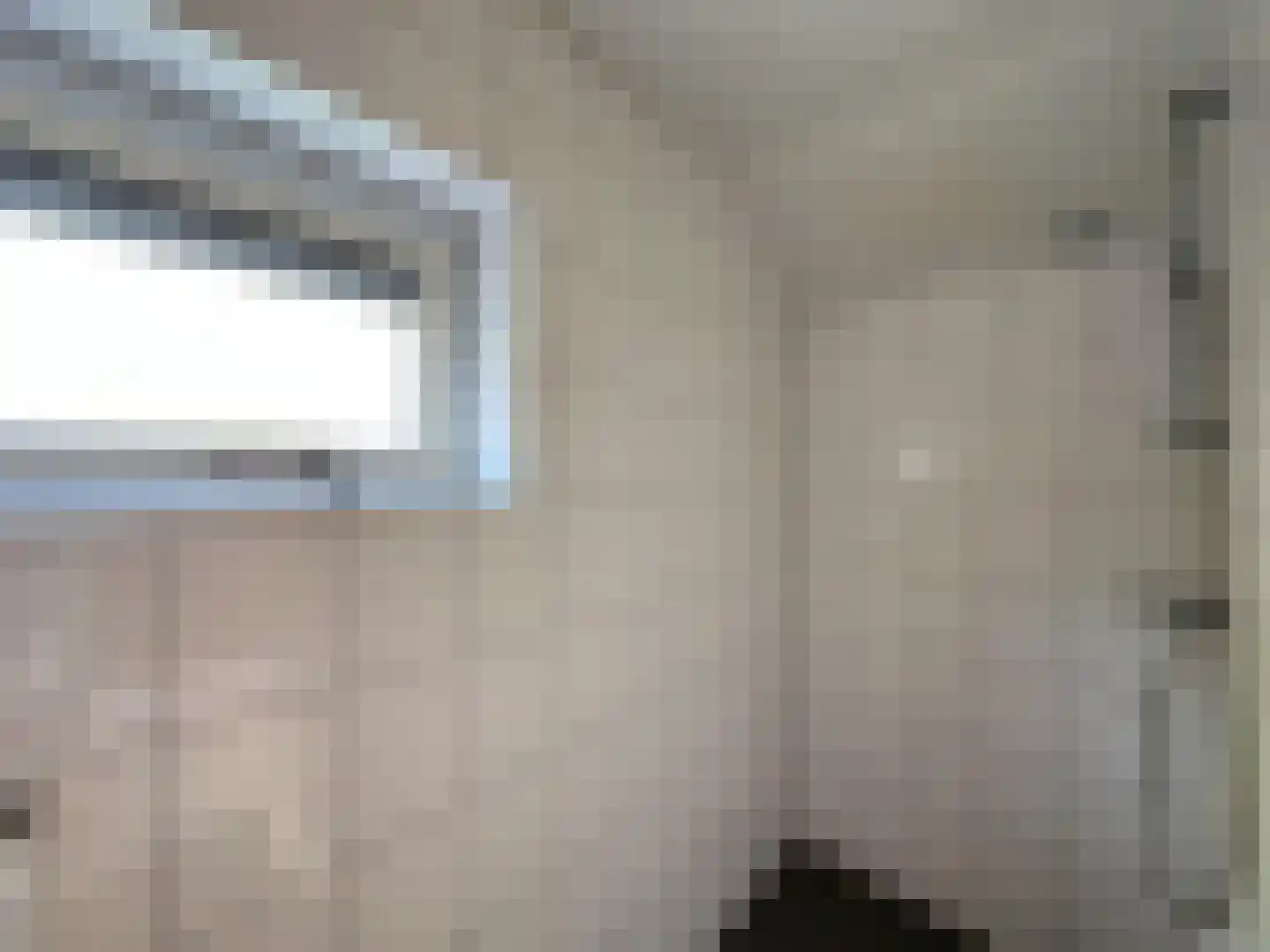 Nieuwstraat 11 Druten thumbnail 19