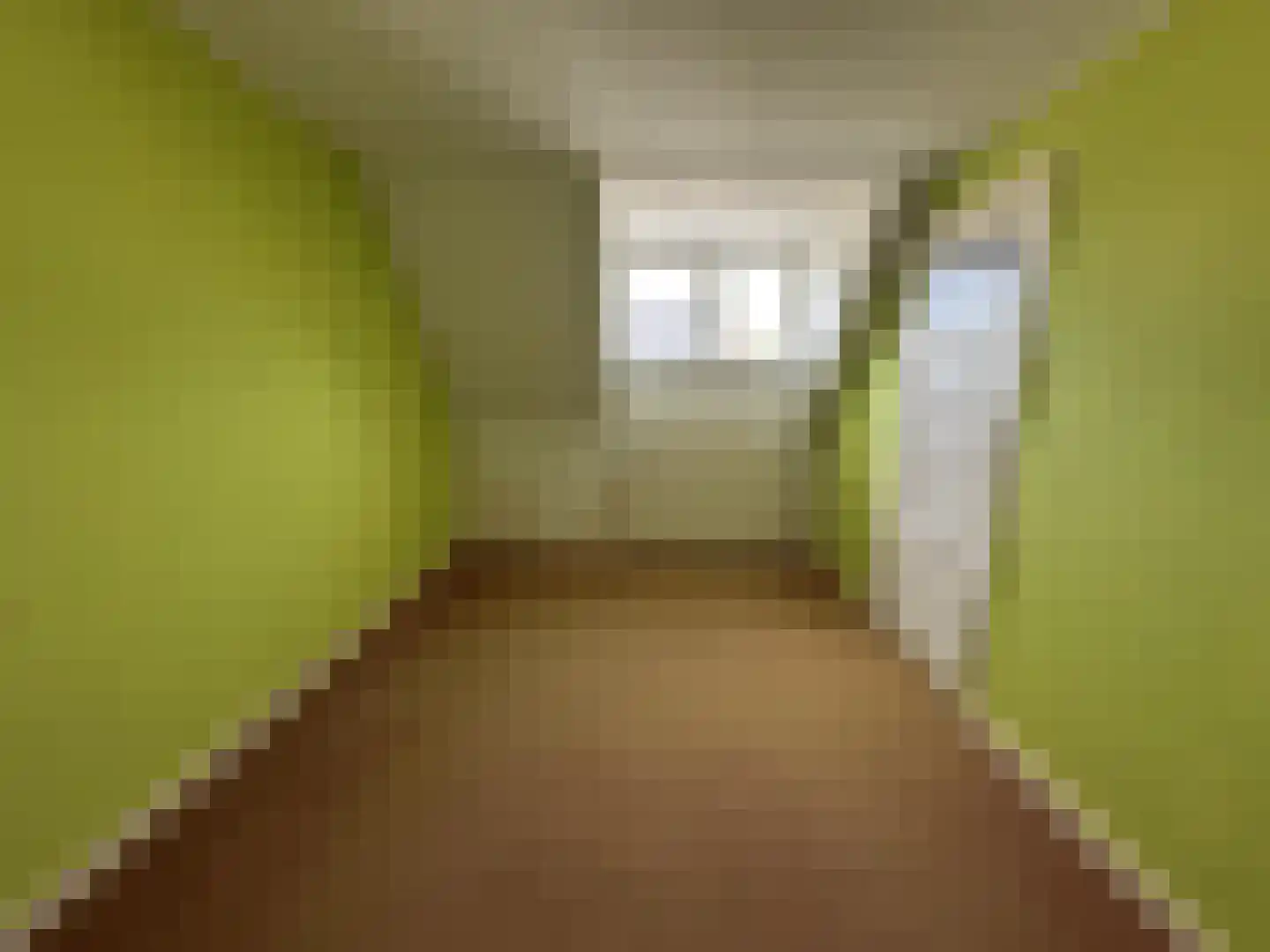 Nieuwstraat 11 Druten thumbnail 24