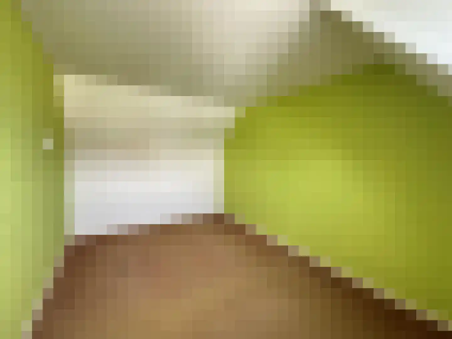 Nieuwstraat 11 Druten thumbnail 25
