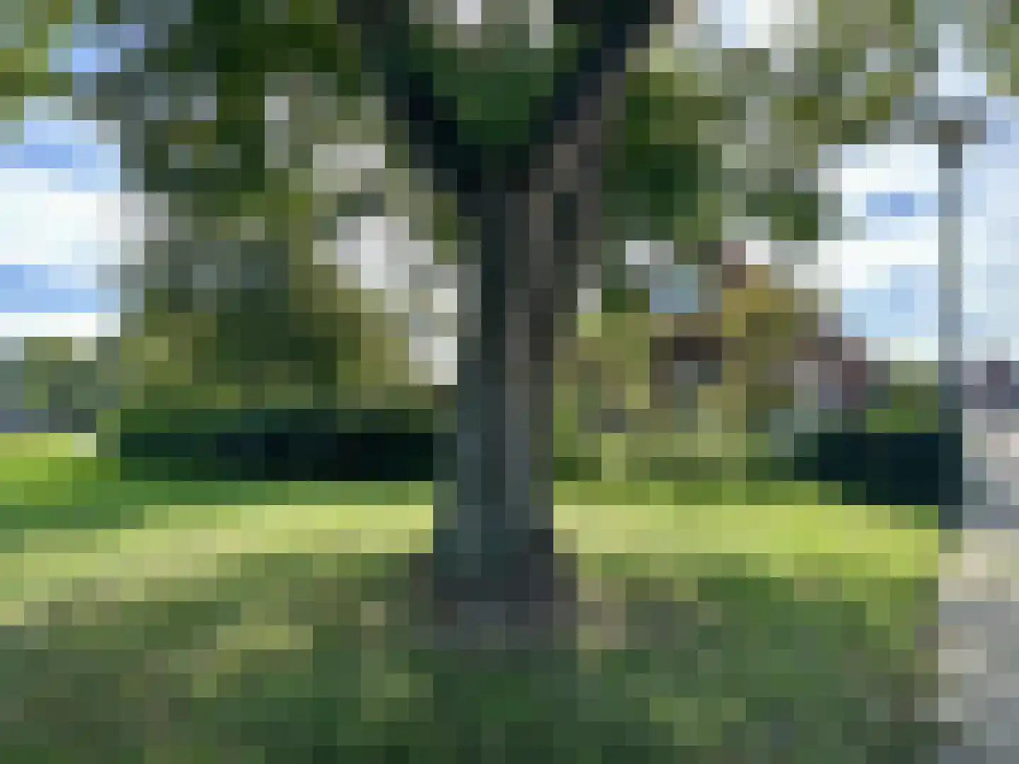 Nieuwstraat 11 Druten thumbnail 29