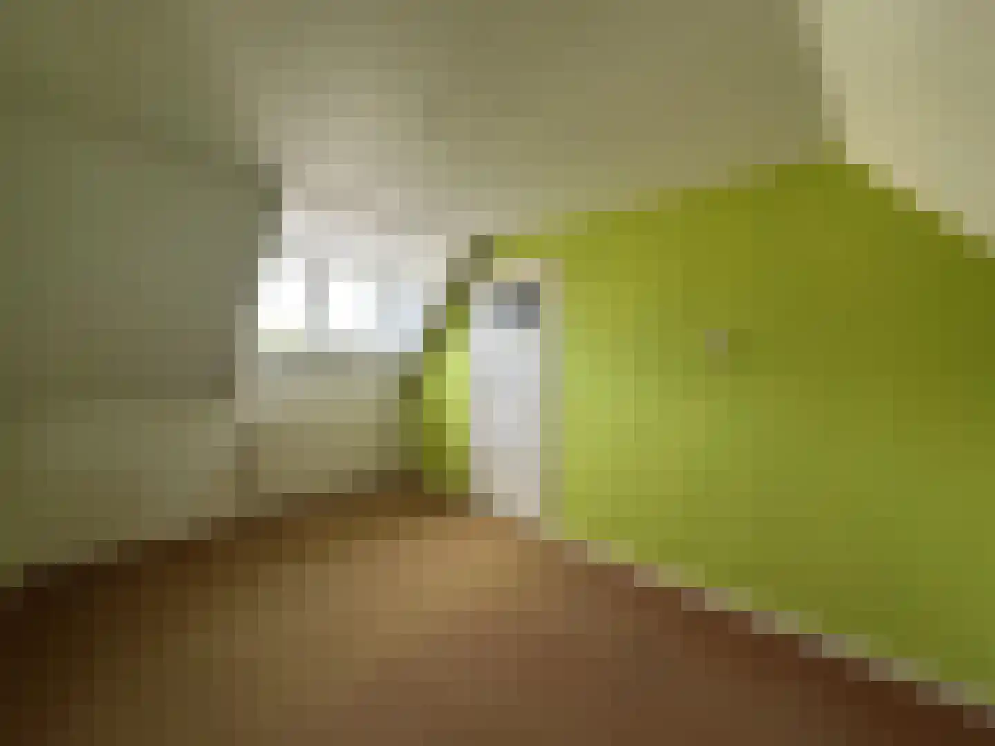 Nieuwstraat 11 Druten thumbnail 5