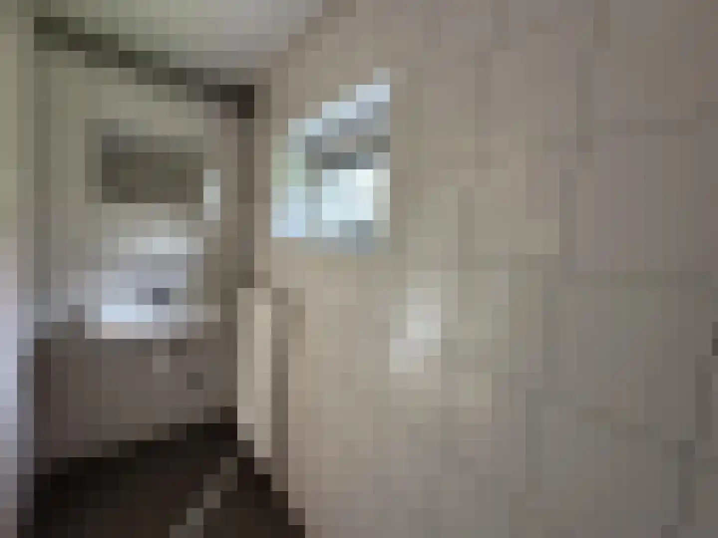 Nieuwstraat 11 Druten thumbnail 7