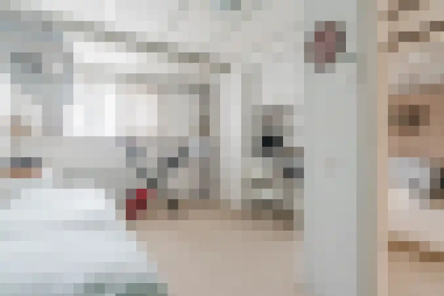 Nieuwstraat 11 Valkenswaard thumbnail 15