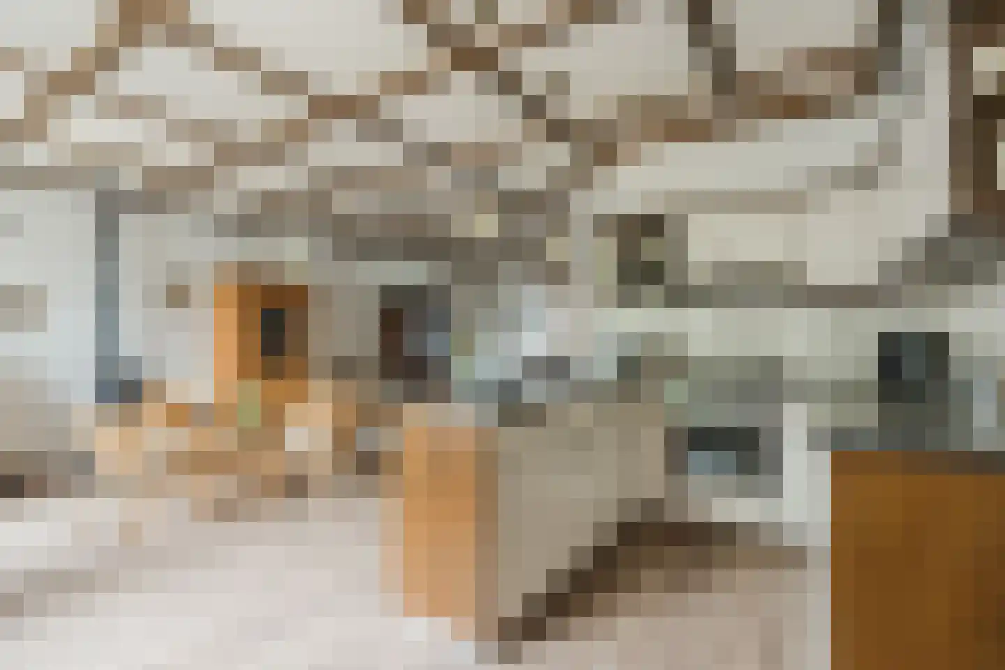 Nieuwstraat 11 Valkenswaard thumbnail 7