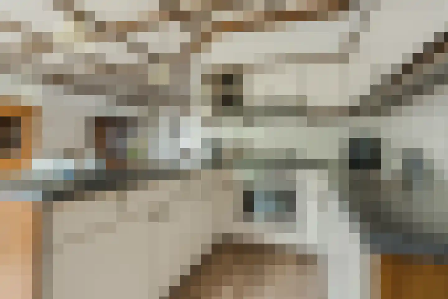 Nieuwstraat 11 Valkenswaard thumbnail 8