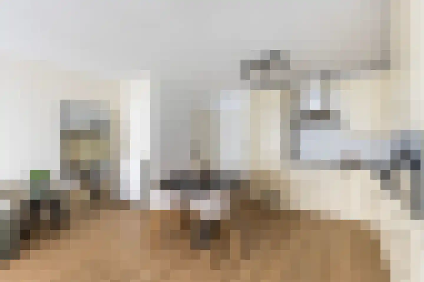 Nieuwstraat 11 Zwolle thumbnail 11