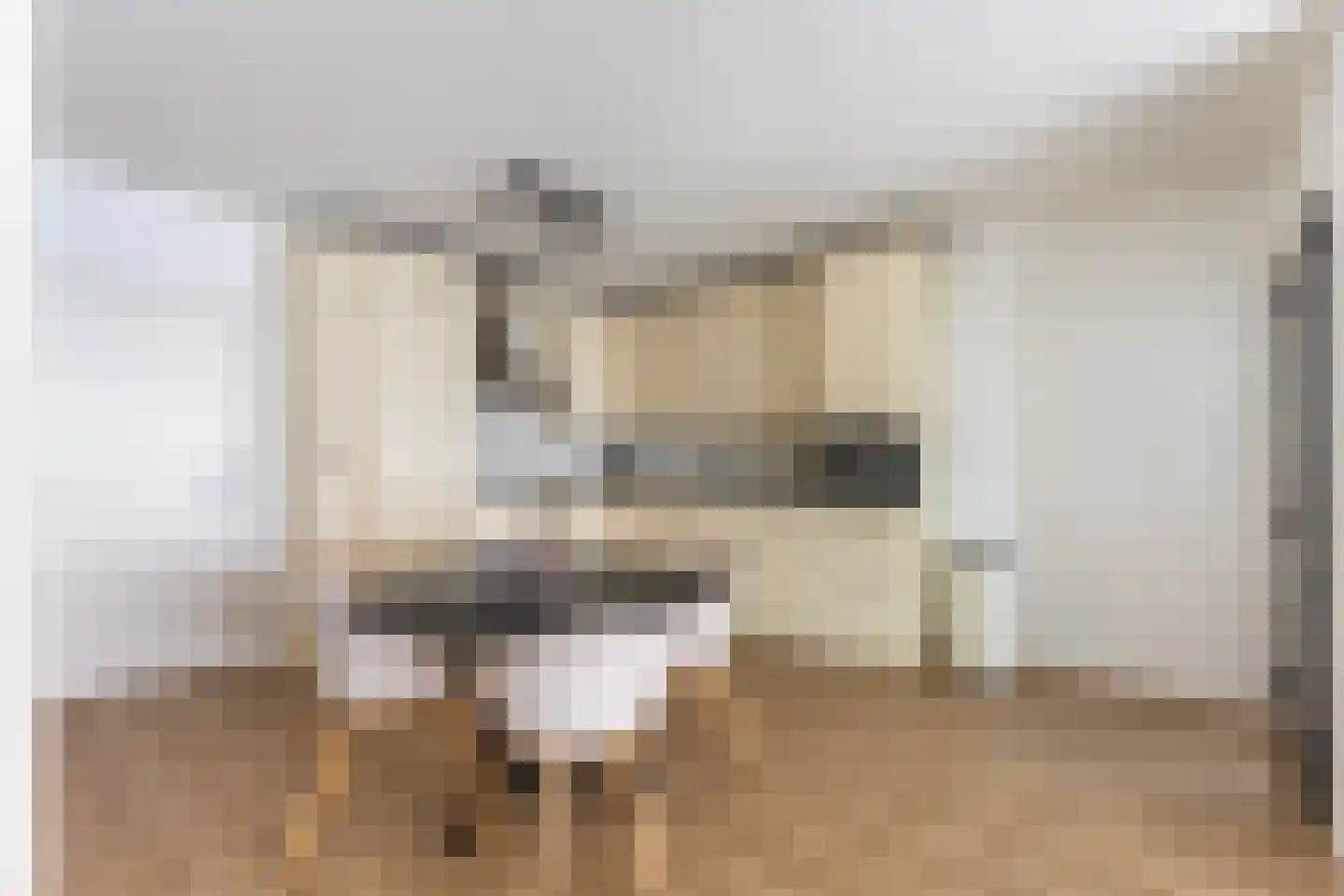 Nieuwstraat 11 Zwolle thumbnail 12