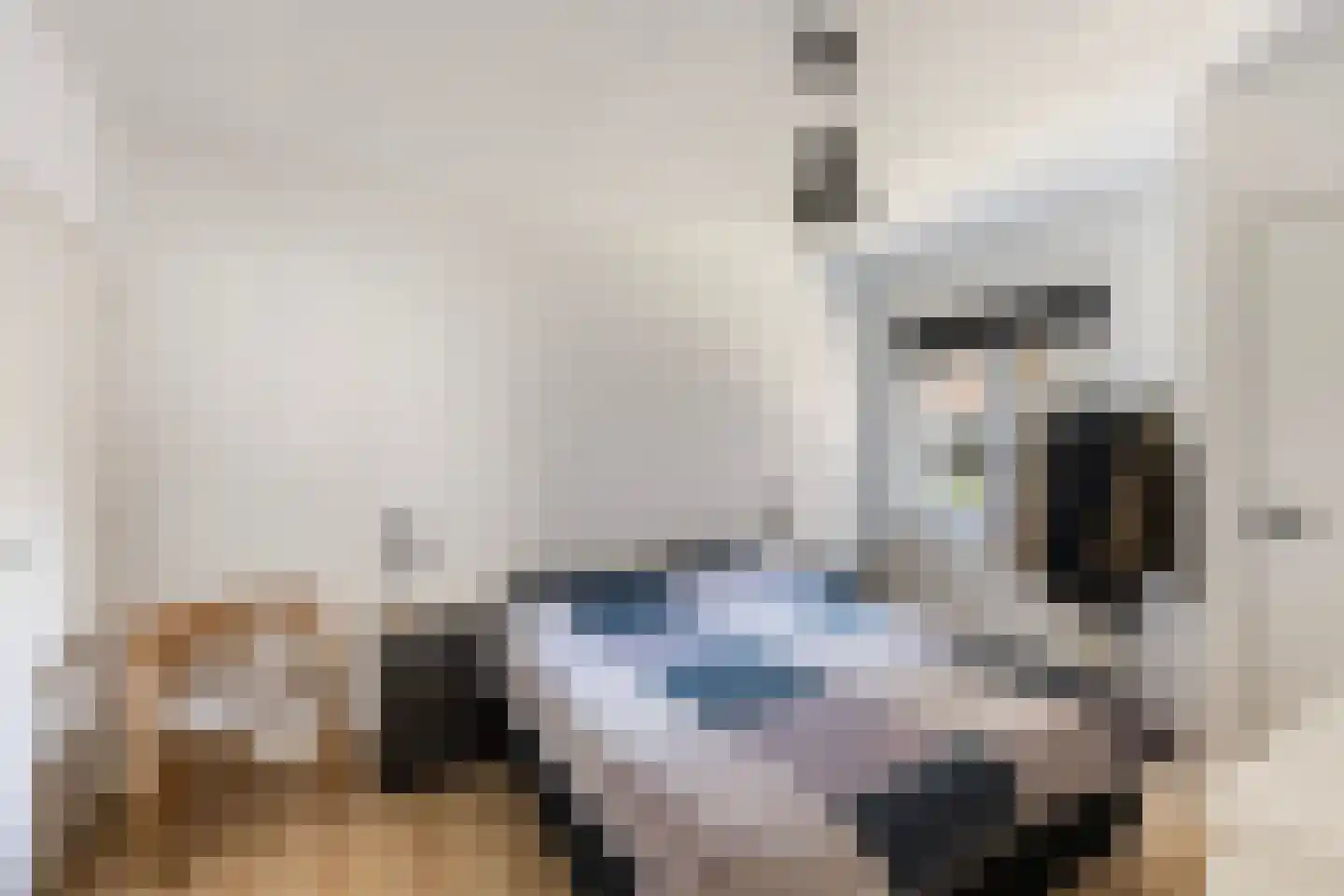 Nieuwstraat 11 Zwolle thumbnail 14