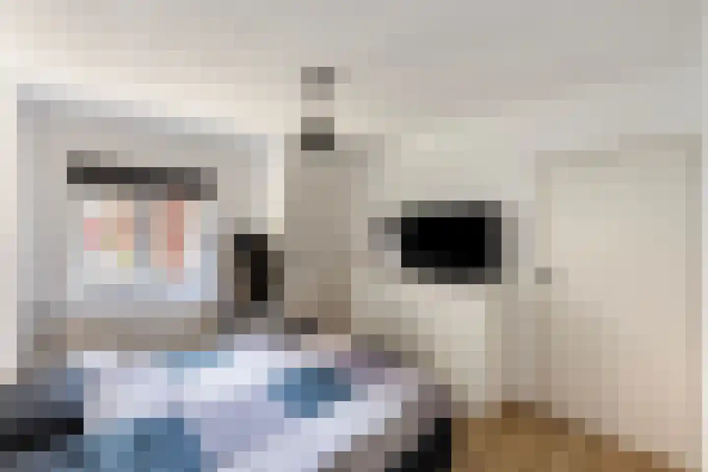 Nieuwstraat 11 Zwolle thumbnail 15