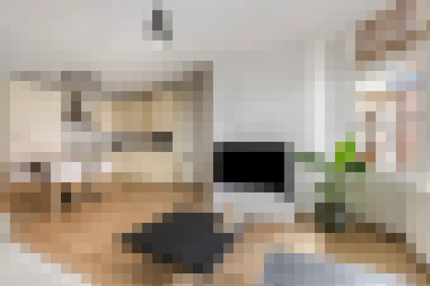 Nieuwstraat 11 Zwolle thumbnail 9