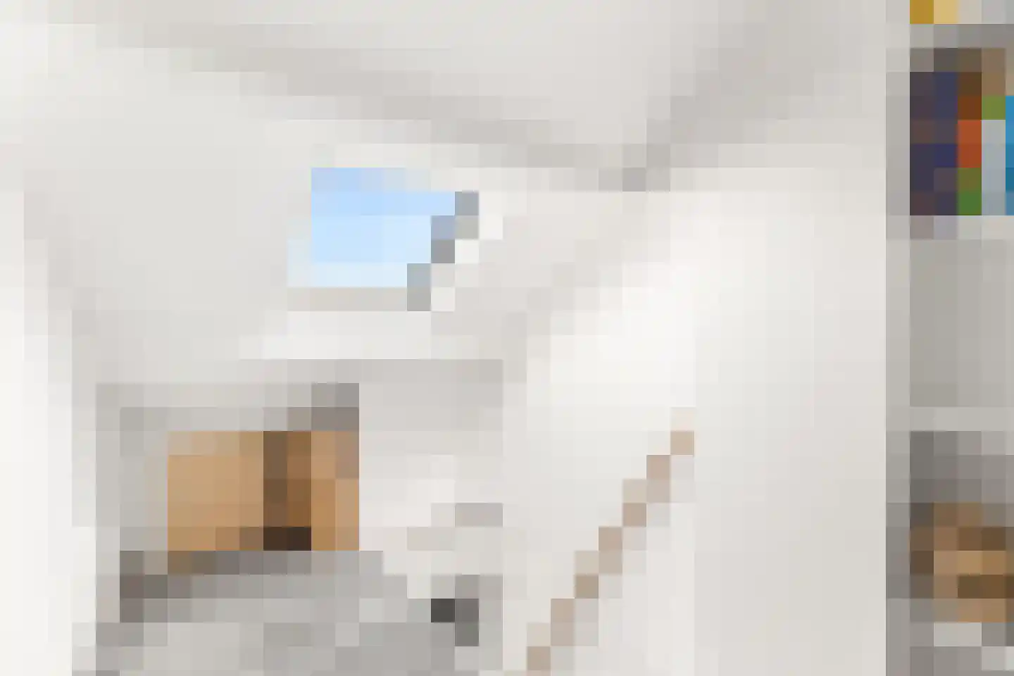 Nieuwstraat 111 Vlissingen thumbnail 19