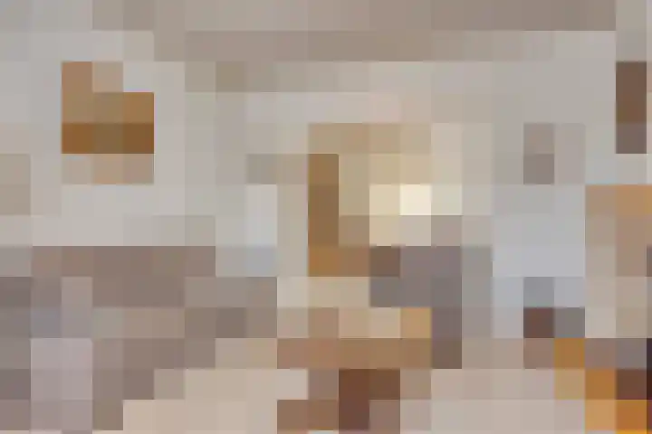 Nieuwstraat 113 Koewacht thumbnail 15