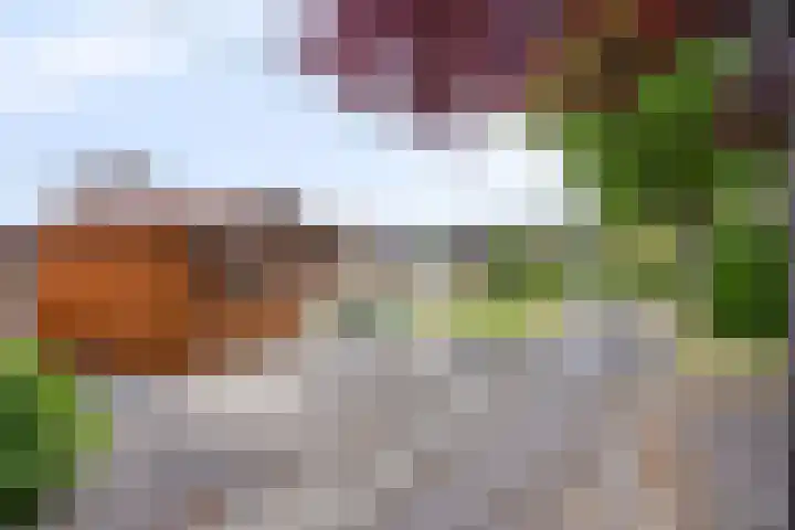Nieuwstraat 113 Koewacht thumbnail 25
