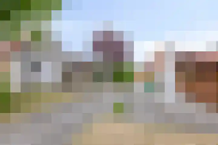 Nieuwstraat 113 Koewacht thumbnail 26