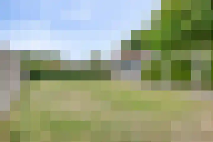 Nieuwstraat 113 Koewacht thumbnail 27