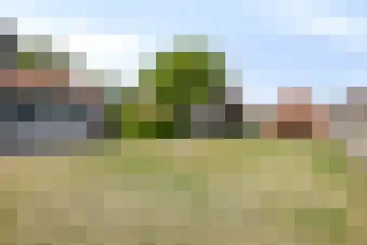 Nieuwstraat 113 Koewacht thumbnail 28
