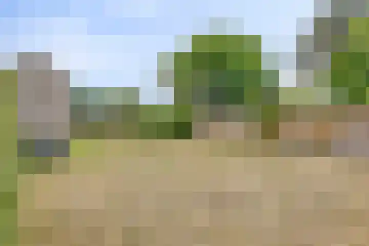 Nieuwstraat 113 Koewacht thumbnail 30