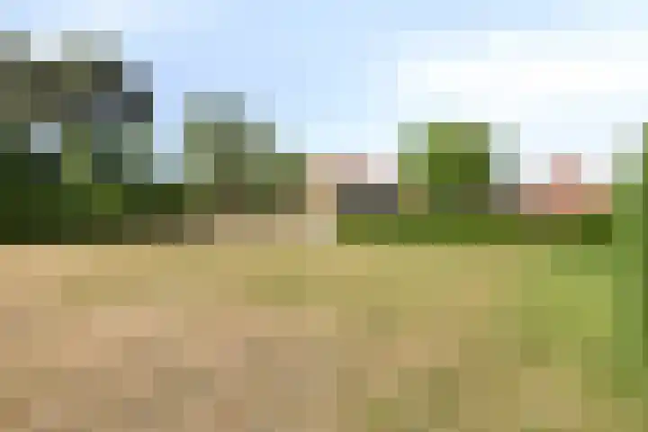 Nieuwstraat 113 Koewacht thumbnail 33