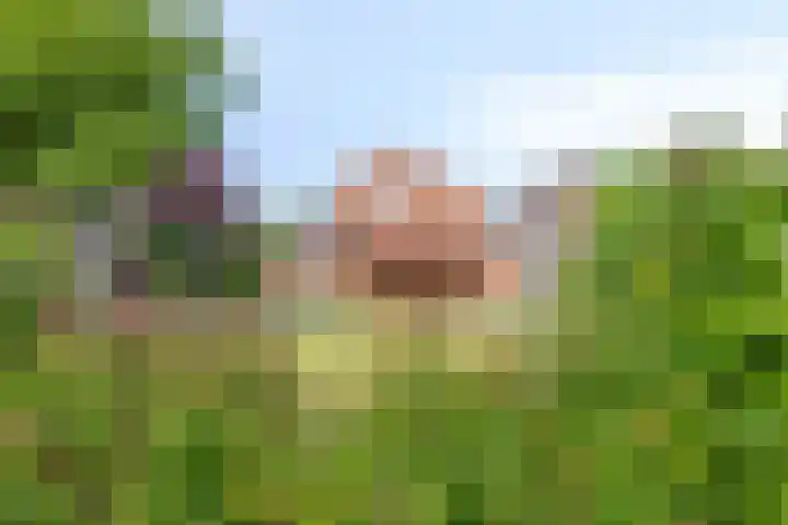 Nieuwstraat 113 Koewacht thumbnail 34