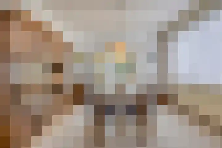 Nieuwstraat 113 Koewacht thumbnail 4