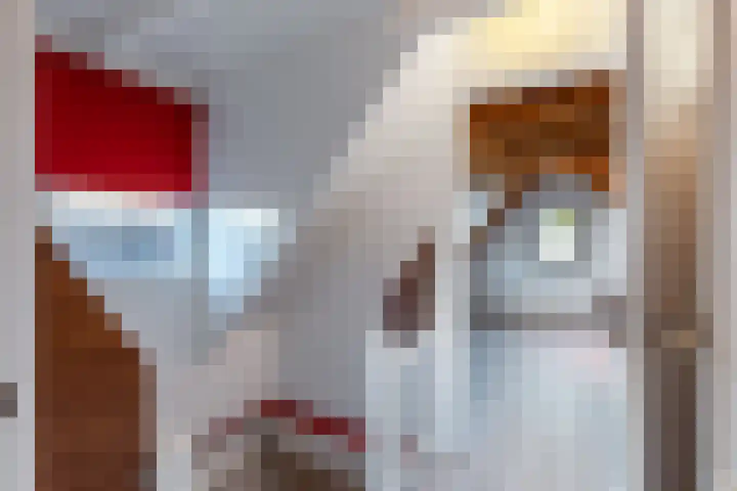 Nieuwstraat 115 Weesp thumbnail 18