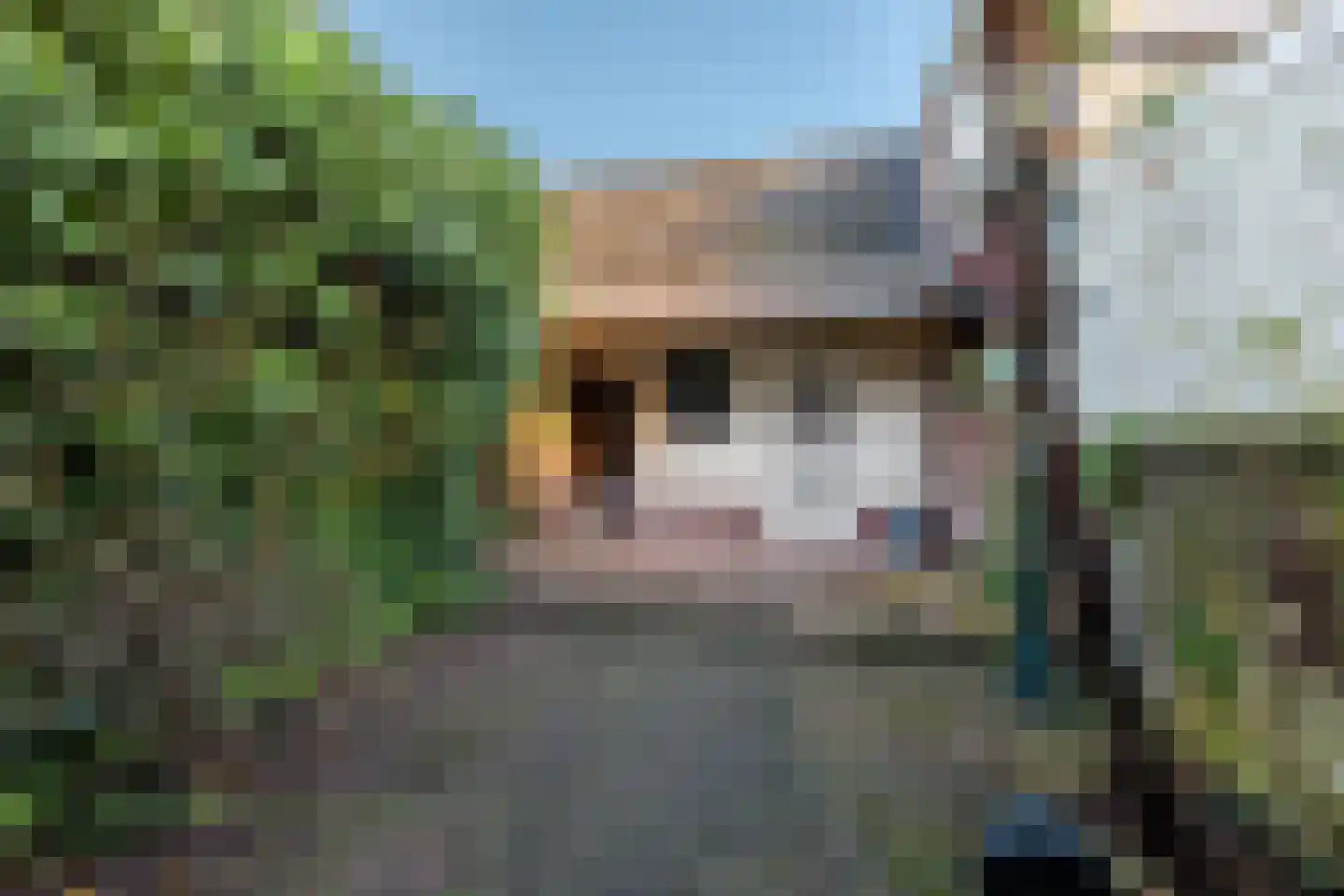 Nieuwstraat 115 Weesp thumbnail 9
