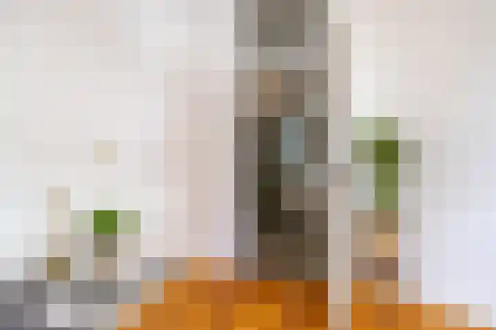 Nieuwstraat 117 Groningen thumbnail 10